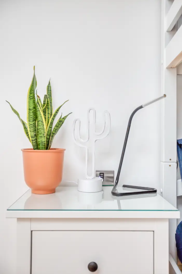 Bedside cabinet with a potted plant beside white bunk beds